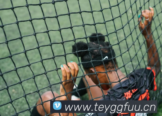 乐鱼体育官方网站服务体系